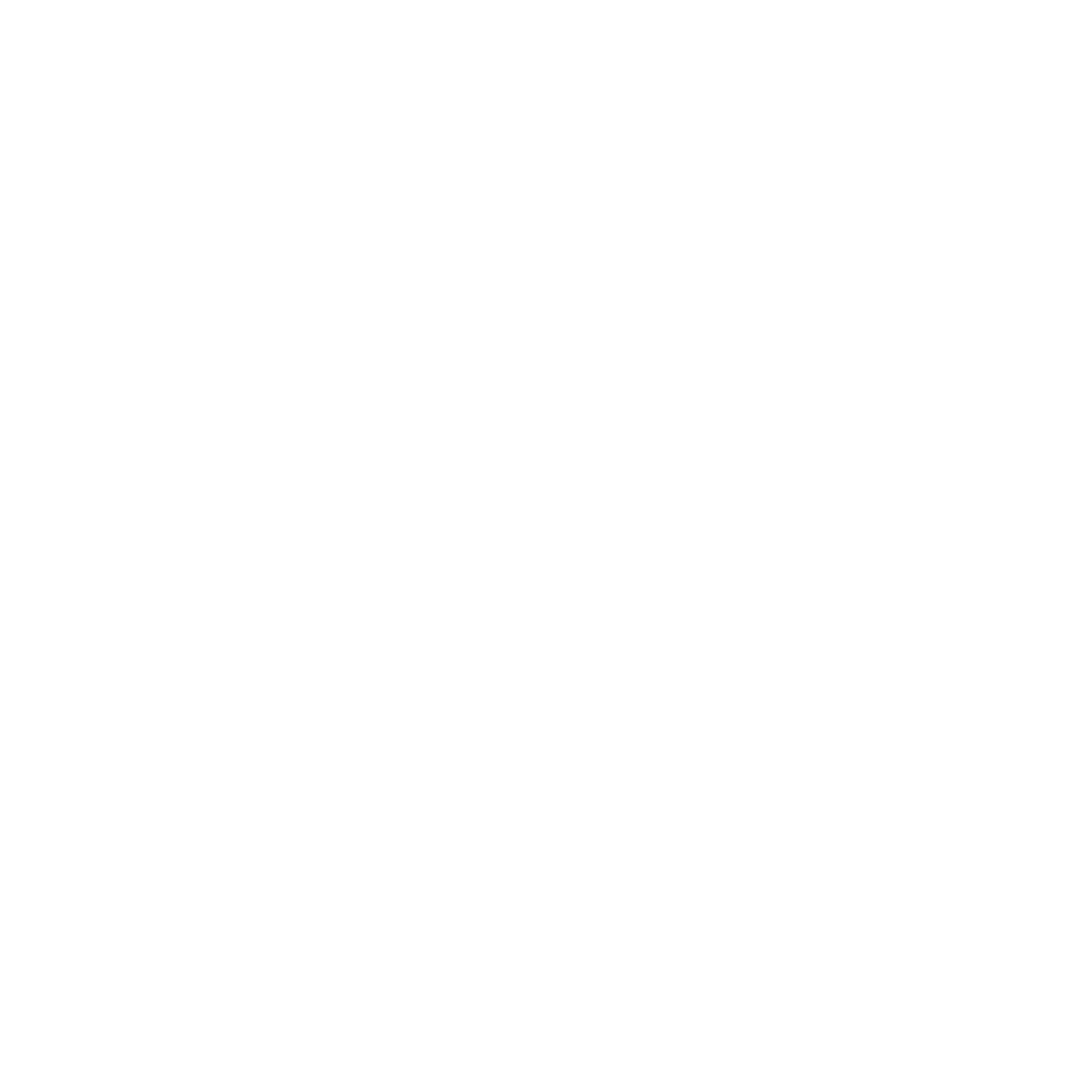 ISO Logo White