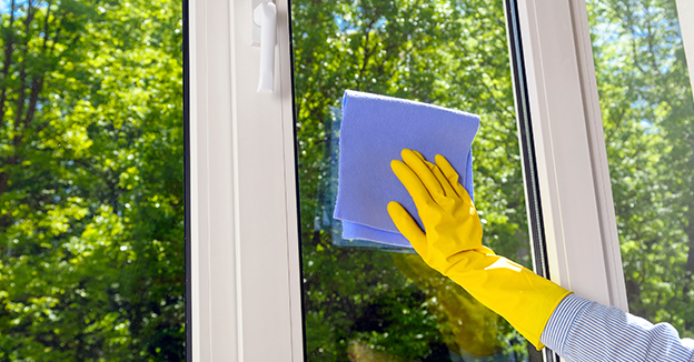 Cleaning the Windows