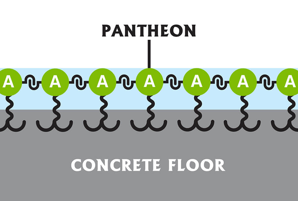 Pantheon with a visual representation of linking technology
